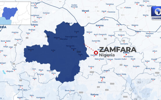 Police Arrest 50-Year-Old Bandit, Two Informants, Others In Zamfara • Channels Television