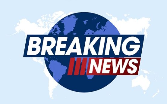 APC Sweeps Lagos LG Polls • Channels Television
