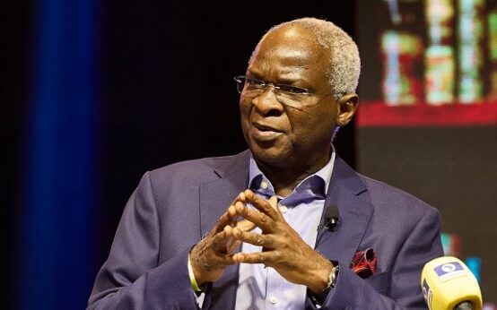 It's Unrealistic To Expect LG Autonomy From Nigeria's Constitution • Channels Television