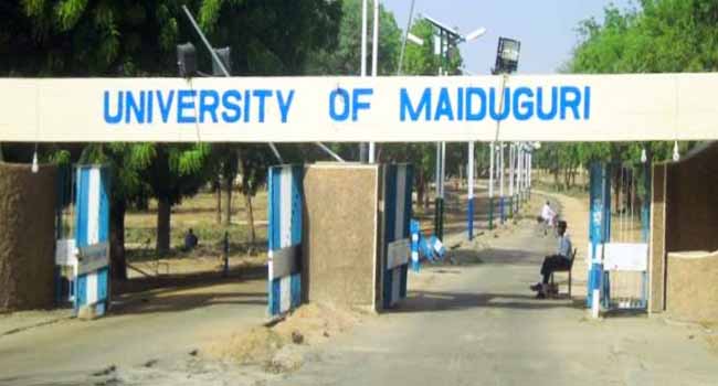 University Of Maiduguri Alumni, Students Reject Remaining Institution After Buhari  • Channels Television