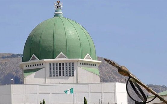 NASS Approve Immediate Implementation Of 4% FOB Charge In Customs Law • Channels Television