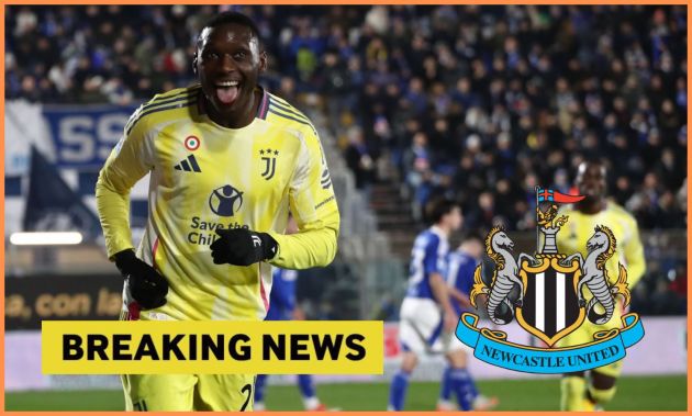 Newcastle's Summer Transfer Window: A Race Against Time for Kolo Muani 1 image describing Newcastle's Summer Transfer Window: A Race Against Time for Kolo Muani