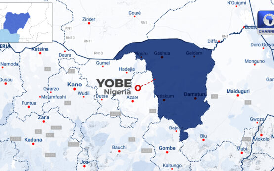 Yobe Govt Reopens Two Markets Shut Down Over Insecurity • Channels Television