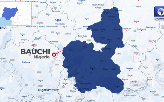 Three Teenage Boys Drown In Bauchi River • Channels Television
