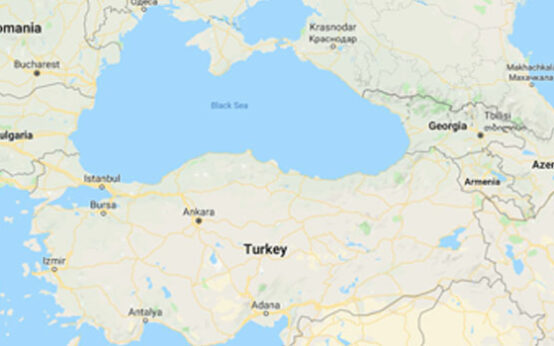 Wildfire Kills 11 Turkish Forest Workers Battling Blaze • Channels Television
