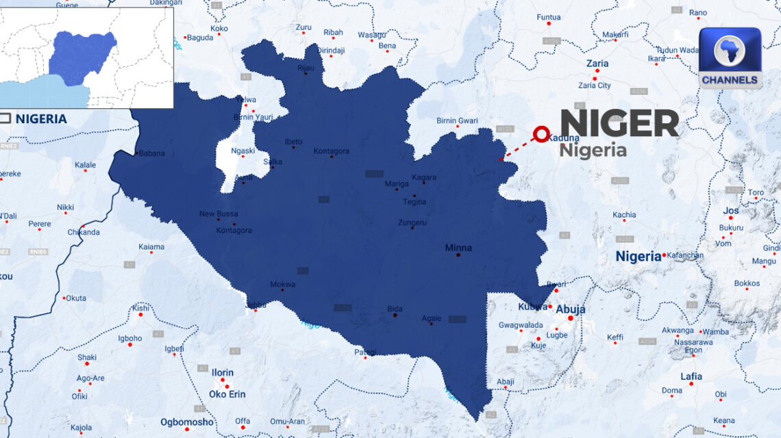 13 Dead, Over 236 Hospitalised In Niger Cholera Outbreak • Channels Television