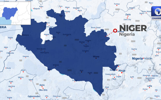 13 Dead, Over 236 Hospitalised In Niger Cholera Outbreak • Channels Television