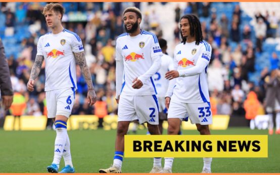 image describing Leeds United Bolsters Squad with New Signings Ahead of Transfer Deadline