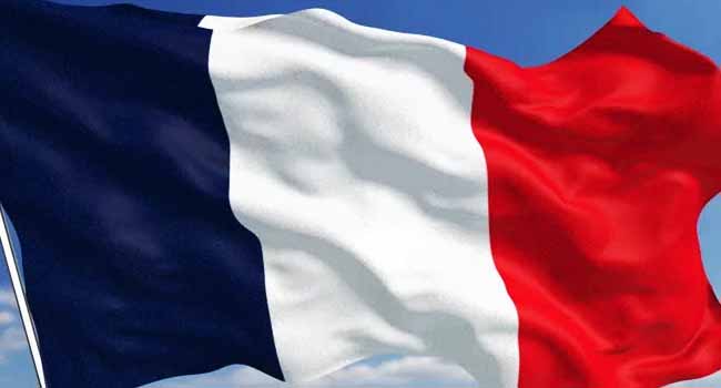 France Challenges Mali Over 'Unjustified' Arrest of Embassy Employee