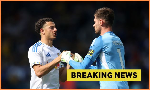 image describing Leeds United's Illan Meslier Set for Emotional Return to Lorient