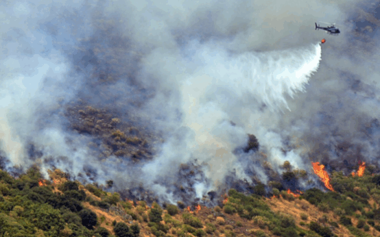 Deadly Wildfires Engulf Spain, Setting New Records for Land Destruction
