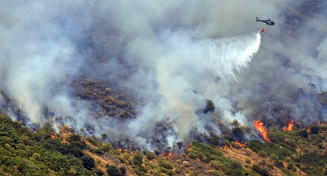 Deadly Wildfires Engulf Spain, Setting New Records for Land Destruction